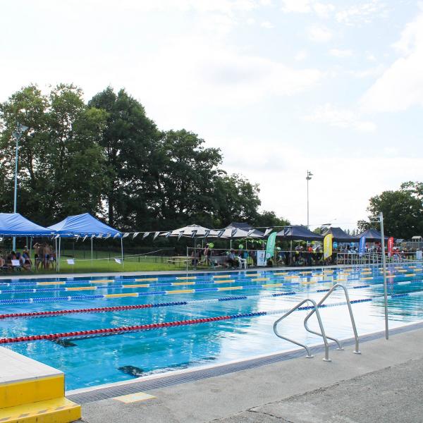 morrinsville-swimming-club